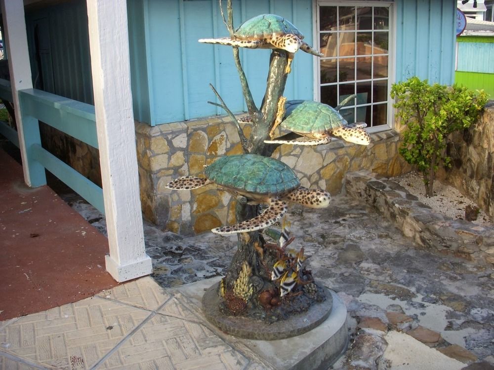 Two Turtles Inn George Town Zewnętrze zdjęcie